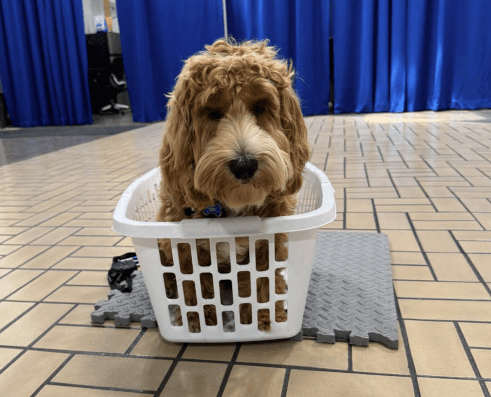 Screenshot 2025-10-24 200355