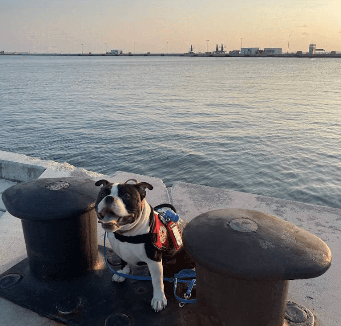 Screenshot 2025-10-24 200510