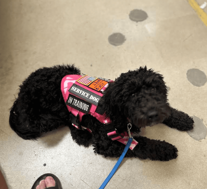 Screenshot 2025-10-24 200540